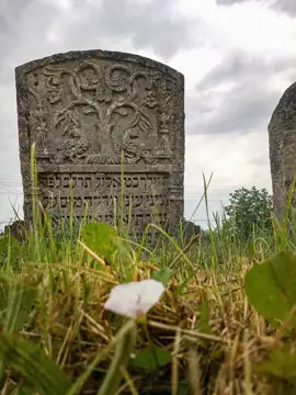 Караїмський цвинтар — загальний вигляд, Залуква
