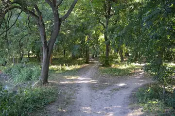 Гонорівський парк — загальний вигляд, Гонорівка