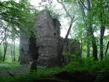 Оборонна церква в урочищі Монастирок — загальний вигляд, Бучацький район