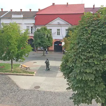 Пам'ятник щасливому сажотрусу — загальний вигляд, Мукачево