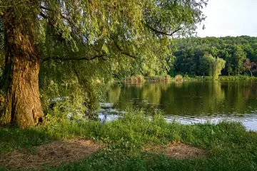 Полтавський міський парк — загальний вигляд, Полтавська область