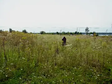 Рай (давньоруське місто) — загальний вигляд, Шацьк