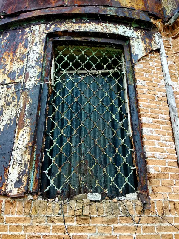 Церква Різдва Богородиці — панорама околиць, Петриківка