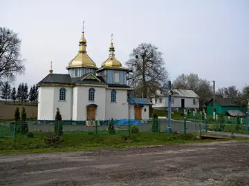 Покровська церква — загальний вигляд, Диковини