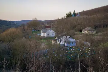 Михайлівська церква — Кам‘яна Михайлівська церква на пагорбі за деревами, Житники