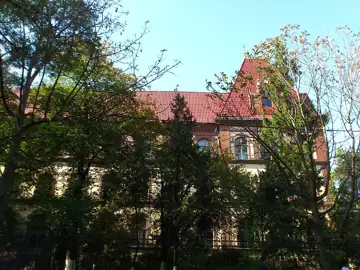 Будинок СШ № 1. Будівля Берегівської реальної гімназії, в якій навчався Ф. Потушняк та викладав В. Пачовський — загальний виг