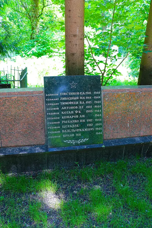 Братська могила, в якій поховані воїни Радянської армії, що загинули в роки Великої Вітчизняної війни (10 моги, фото 2