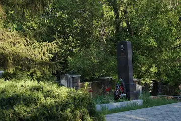 Могила керівника робітничого руху на Закарпатті І. М. Ваша — загальний вигляд, Ужгород