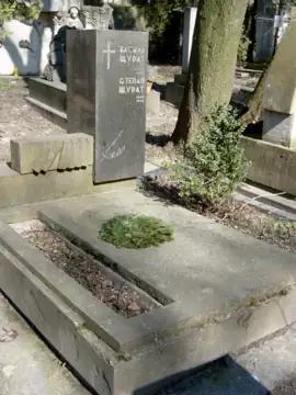 Могила Щуратів Василя, українського літературознавця, поета, академіка України, доктора філософських наук, професора, та його