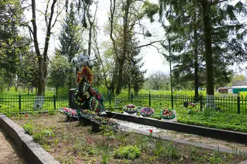 Братська могила 272 воїнів Радянської Армії, загиблих при звільненні села — Мізяківські Хутори Братська могила воїнів Радянсь
