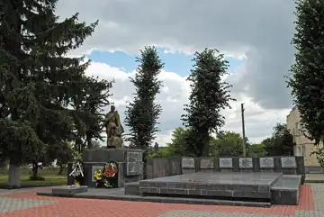 Братська могила 248 радянських воїнів, загиблих при звільненні селища — загальний вигляд, Браїлів