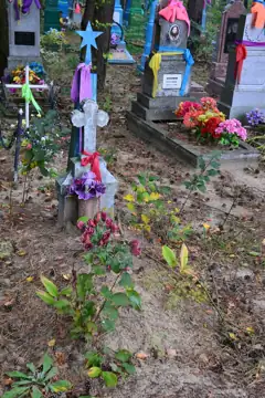 Могила радянського воїна В. І. Меткіна — загальний вигляд, Буцинь