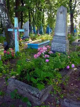 Могила невідомого радянського воїна — загальний вигляд, Дольськ