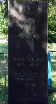 Могила партизанки Я. Смоляр — загальний вигляд, Кропивники