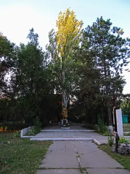 Братська могила радянських воїнів, які загинули під час звільнення с. Красіне у жовтні 1943 року — 20 лютого 1944 року. Похов