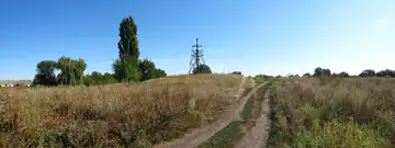 Курган (h=3,5 м, d=80 м) — Курган у селі Червоні Поди панорама з заходу, Червоні Поди