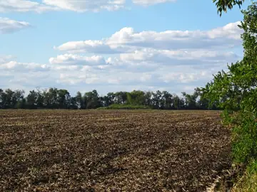 Курган (h=2 м, d=48 м) — Курган неподалік сіл Чапаєвка та Лісопитомник, Степове