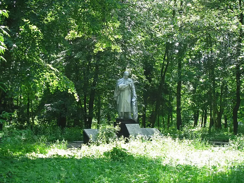 Братська могила радянських воїнів. Поховано 65 осіб — загальний вигляд, Турчинівка