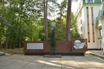 Братська могила воїнів Радянської Армії, які загинули в роки Великої Вітчизняної війни — загальний вигляд, Ірпінь