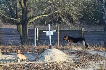 Група братських могил радянських воїнів — загальний вигляд, Ясногородка