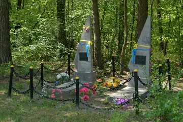 Могила братська (2) радянських воїнів-танкістів — загальний вигляд, Зелена