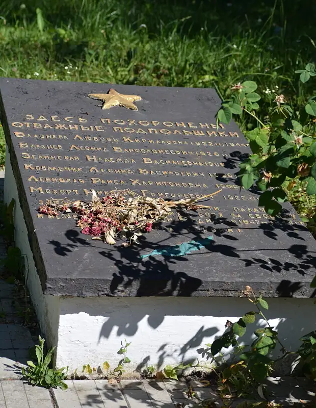 Воїнське кладовище. Братські могили радянських воїнів (поховано 48 воїнів). Братські могили радянських партиза, фото 5