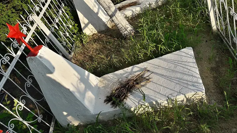 Братське кладовище 5 радянських воїнів, загиблих при звільненні села 3 квітня 1944 року — деталі фасаду, Балкове