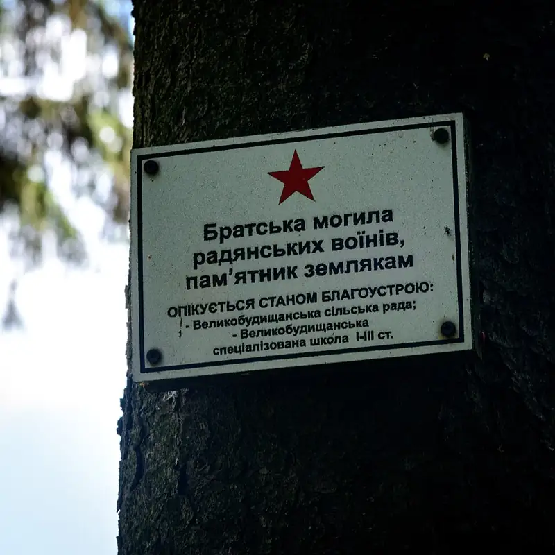 Меморіальний комплекс: Братська могила воїнів. Пам'ятний знак полеглим воїнам-односельчанам — загальний вигляд, Великі Будища