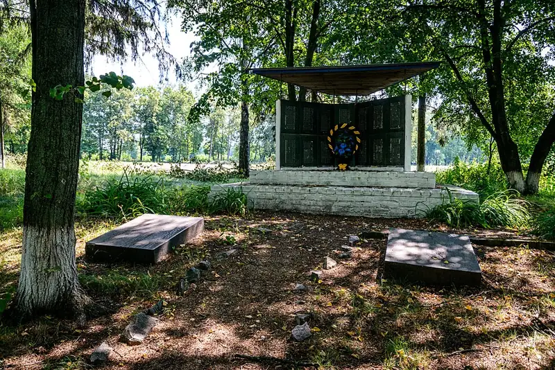 Меморіальний комплекс: Братська могила воїнів. Пам'ятний знак полеглим воїнам-односельчанам — вид збоку, Великі Будища