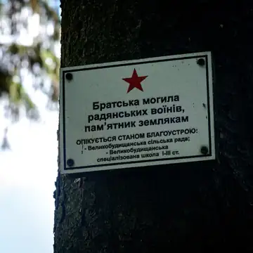 Меморіальний комплекс: Братська могила воїнів. Пам'ятний знак полеглим воїнам-односельчанам — загальний вигляд, Великі Будища