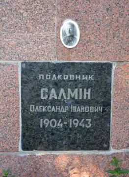 Могила полковника О. І. Салміна — загальний вигляд, Зіньків