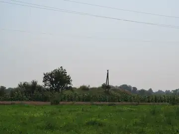 Курган — загальний вигляд, Миколаївка