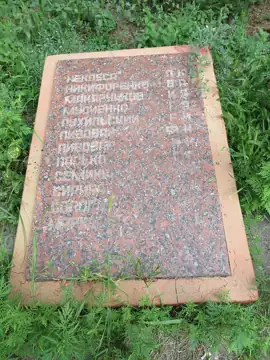Братська могила радянських воїнів, що загинули при обороні сел. Шевченко в серпні 1941 року — загальний вигляд, Шевченко