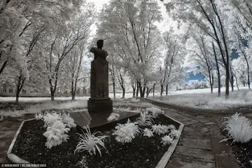 Бюст двічі Героя Радянського Союзу Г. П. Кравченка — загальний вигляд, Голубівка