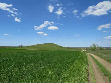 Курганна група — загальний вигляд, Сурсько-Михайлівка