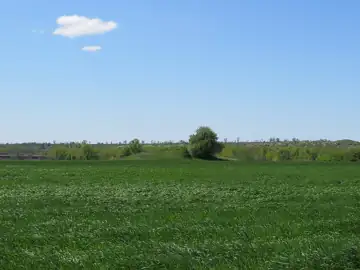 Курган — загальний вигляд, Сурсько-Михайлівка