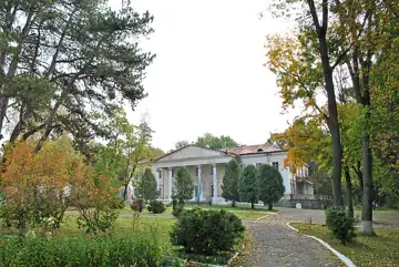 Палацево-парковий комплекс (зміш.) — загальний вигляд, Струсів