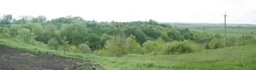 Городище і селище літописного міста Дорогобужа — Вид на Городище з боку останнього будинку на вул. Гудкова, Дорогобуж