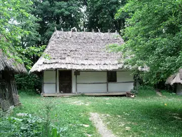 Хата з с. Брід Іршавського р-ну Закарпатської обл. — загальний вигляд, Львів