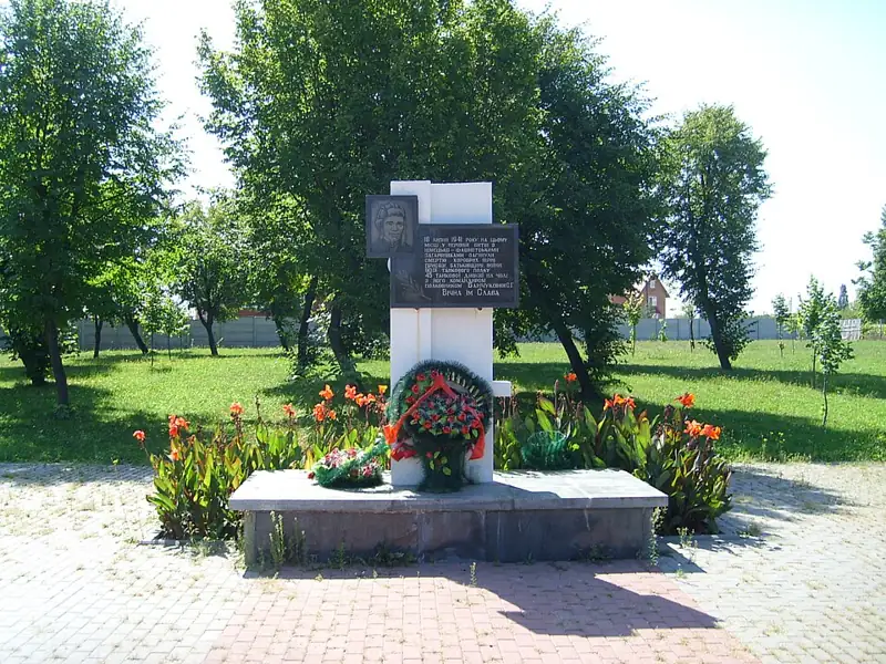 Лінія оборони м. Вінниці — загальний вигляд, Вінниця