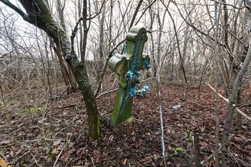 Польський цвинтар — загальний вигляд, Заболотів