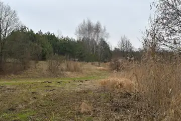 Бодячів-4, поселення одношарове доби бронзи — загальний вигляд, Бодячів