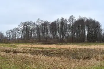 Городище — загальний вигляд, Човниця