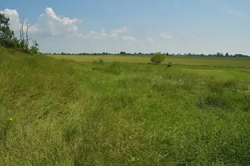 Лінія оборони УПА (окопи, вогневі точки) — загальний вигляд, Новий Двір