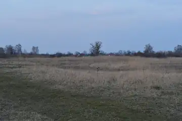 Чорників-1, поселення двошарове: доби бронзи і вельбарської культури II—IV ст. н. е. — загальний вигляд, Чорників