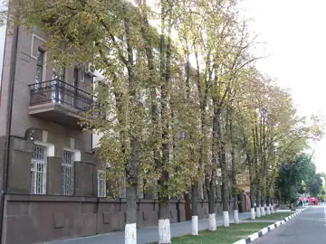 Житловий будинок — Херсон Кірова вул. збоку, Херсон