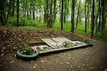 Місце масових розстрілів і три братські могили мирних жителів, військовополонених, 1941–1943 рр. Полтава — загальний вигляд, 