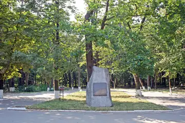 Ставищенський парк — Ставищанський парк пам'ятка, Київська область