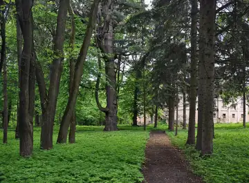 Парк-пам'ятка «Санаторій Розділ» — загальний вигляд, Львівська область