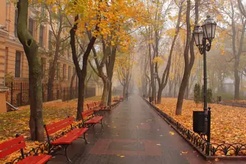 Міський сад — Восени у міському саду Одеса, Одеса